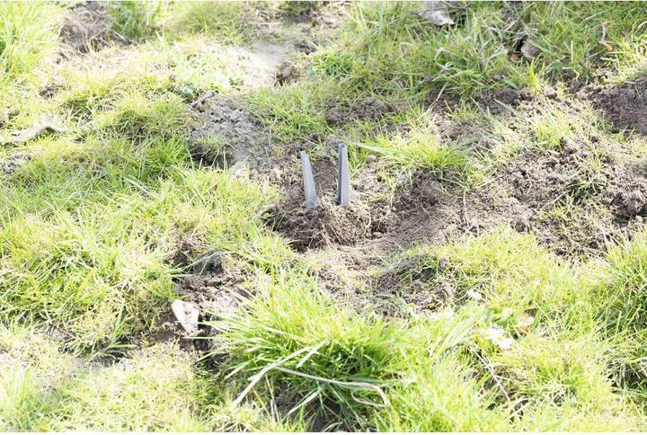 Actual product image Gardigo Vole trap vole pincer trap 4pcs set