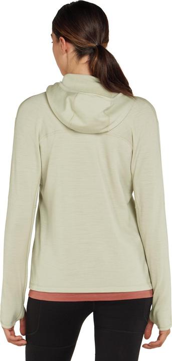 Immagine prodotto Icebreaker Felpa con cappuccio 360 RealFleece Elemental L/S da donna (XL)