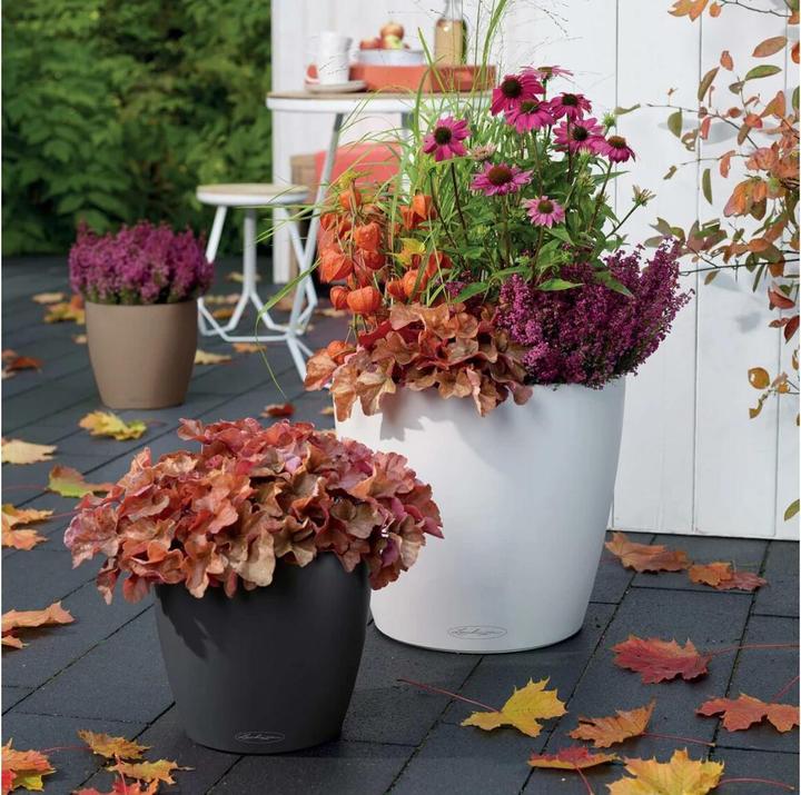 Actual product image Lechuza Classico Color (42 cm)