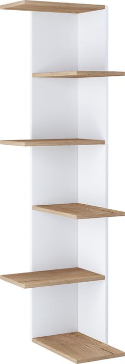 Shelving