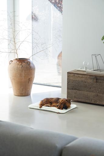 Produktbild Designed by Lotte Nalino (Hund)