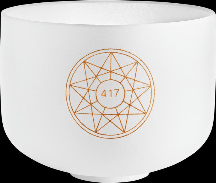 Meinl 10" Solfeggio bol chantant en cristal 417 Hz (Percussion)