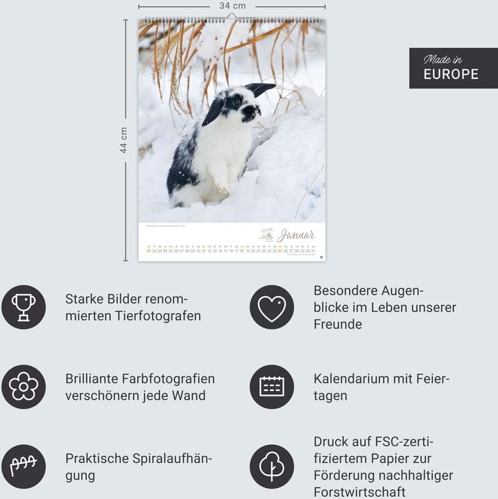 Image du produit Kaninchenkinder Posterkalender 2026 (34 x 44 cm, Couverture rigide, Allemand)