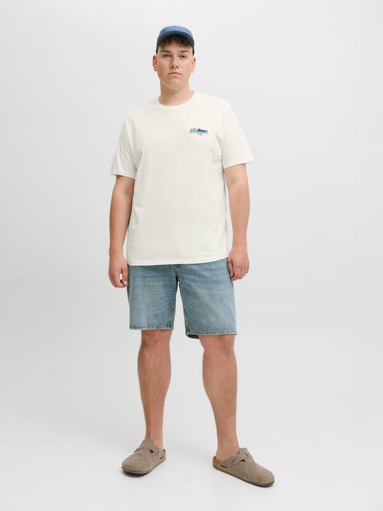 Actual product image Jack & Jones Normal geschnitten Rundhalsausschnitt Plus T-Shirt T-shirt (3XL)