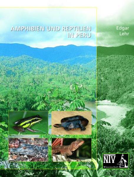 Produktbild Amphibien und Reptilien in Peru (Deutsch, Edgar Lehr, 2002)