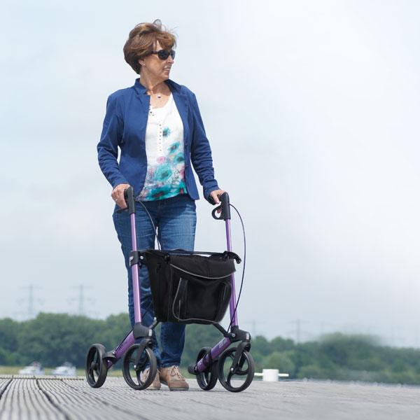 Immagine prodotto Sunrise Rollator leggero Gemino champagne 30M