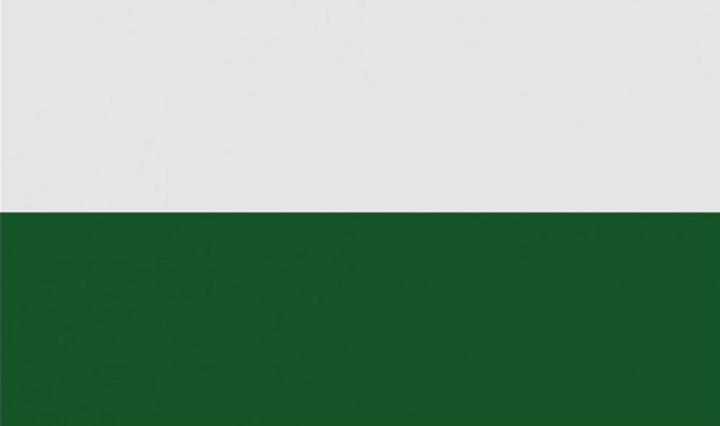 Actual product image Cartasport Corner flag