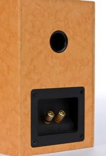 Actual product image Roth Audio Oli 10 Loudspeaker Pair (1 pair)
