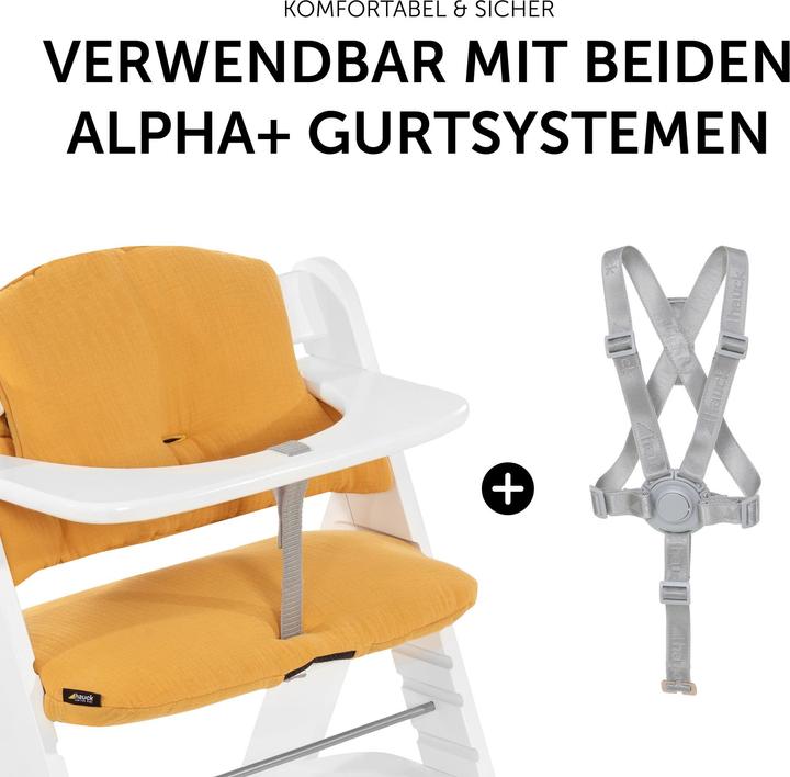Actual product image Hauck Pad Select
