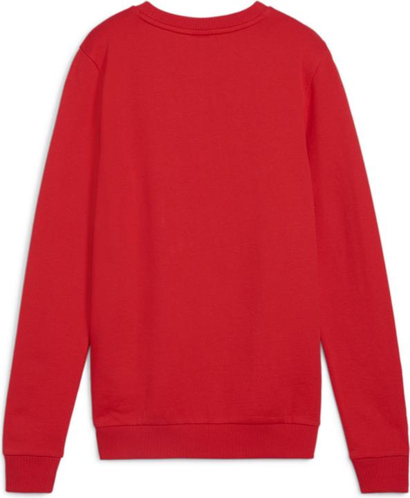 Immagine prodotto Puma teamGOAL Casuals Felpa girocollo Wmn (XXL)
