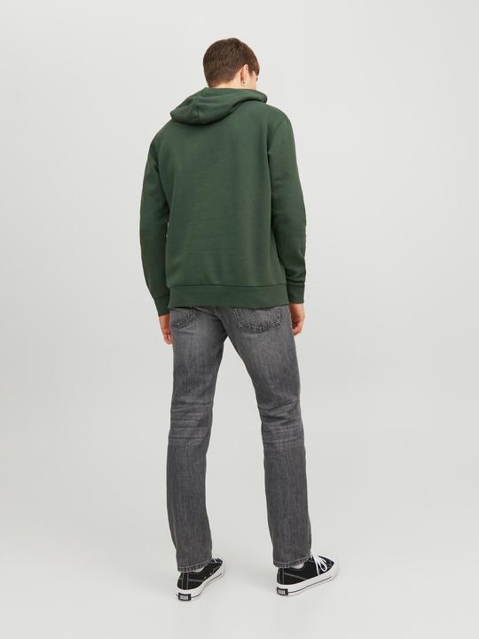 Immagine prodotto Jack & Jones Logo Hoodie (XS)