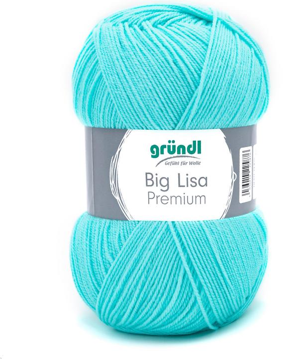 Image du produit Gründl Big Lisa Premium, 250 g, 665 m (665 m)