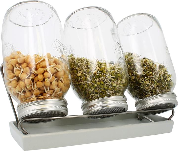 Eschenfelder Set di bicchieri Sprout