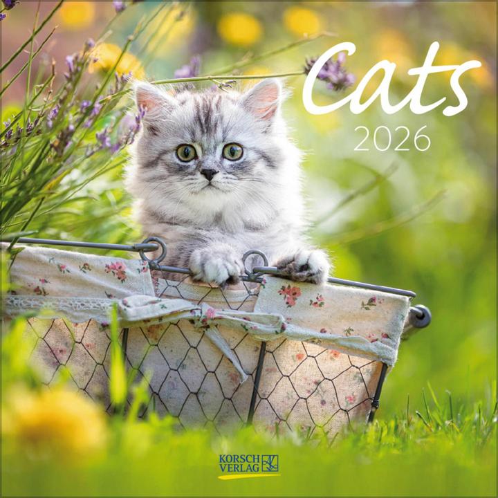 Produktbild Cats 2026 (30 x 30 cm, Harter Einband, Französisch, Englisch)