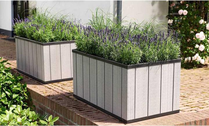Produktbild Keter Sequoia