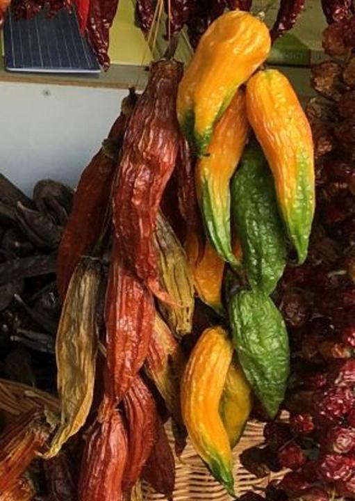 Immagine prodotto Tropica Peperoncino - AJI Amarillo ( Capsicum baccatum ) (Semi di verdura)