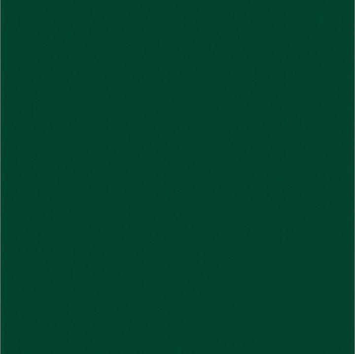Immagine prodotto Savage Sfondo 1,35 x 11 m Evergreen (135 cm, 1100 cm)