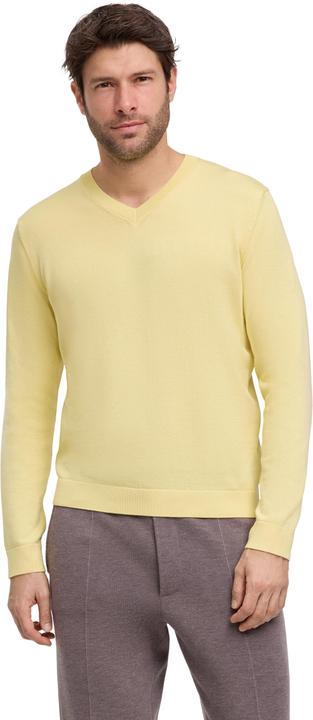 Produktbild Falke FAV Cotton V-Neck m (XL)