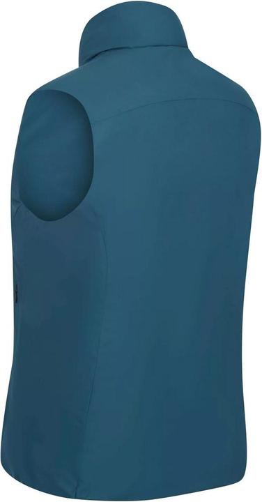 Actual product image Regatta Yewbank Vest Reversible (40)