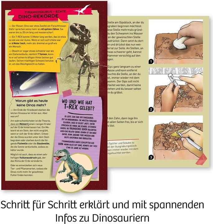 Produktbild Kosmos Experimentierkasten T-Rex Zahn