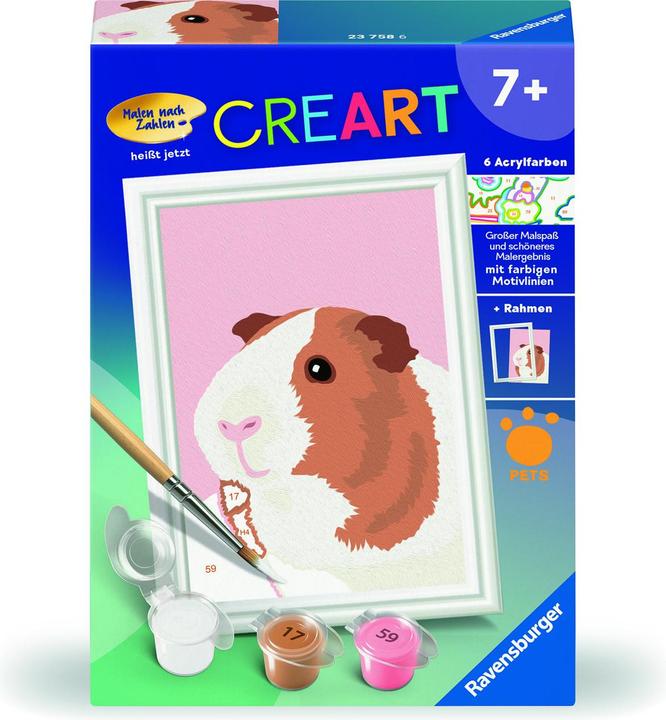 Actual product image Ravensburger Painting by numbers 23758 - Cute guinea pig - Children aged 7 and over