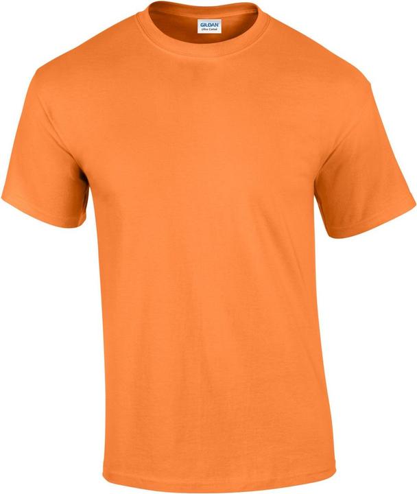 Gildan TShirt (M)