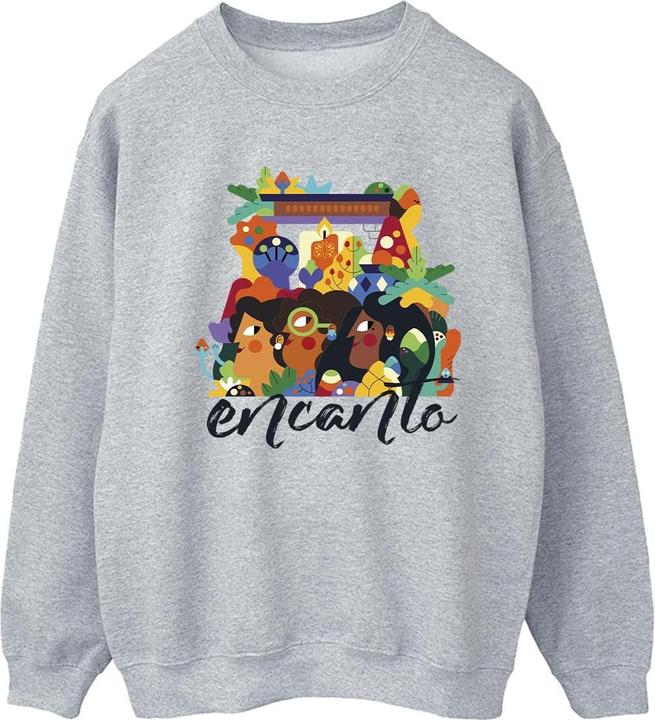Disney Encanto Sisters Sweatshirt (XL)