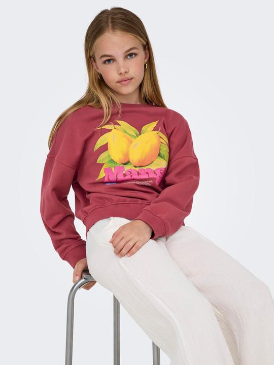 Immagine prodotto Only KOGPHILEA Sweatshirt Sweatshirt (146)