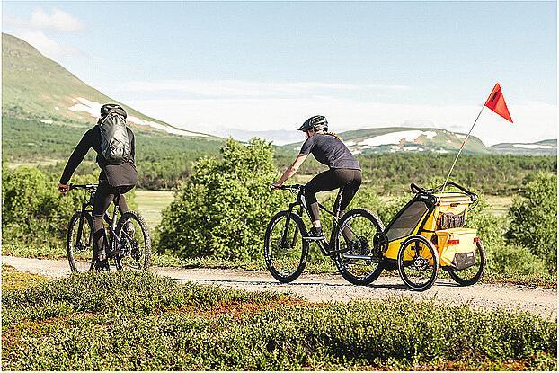 Actual product image Thule Chariot Sport 1