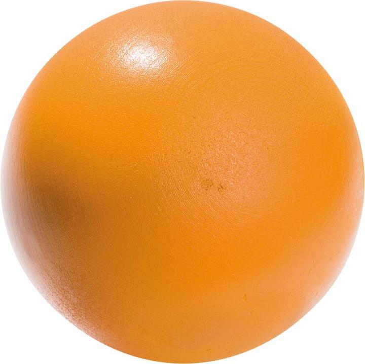 Image du produit Tanga Sports ® Stosskugel (6000 g)