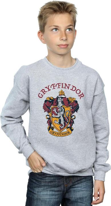 Immagine prodotto Felpa Gryffindor Ragazzi (116)