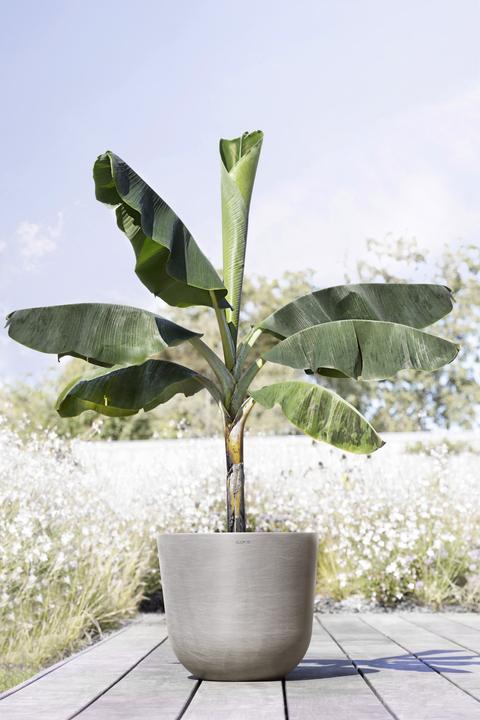 Produktbild Ecopots Oslo (55 cm)