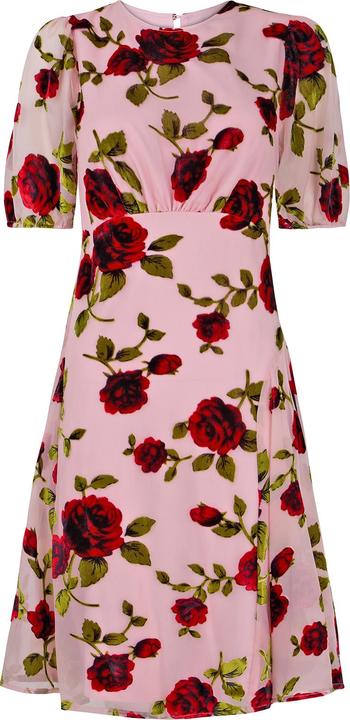 Produktbild Joe Browns Vintage Inspired Devore Rose Mini Dress