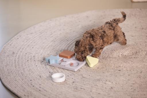 Actual product image Beeztees Puppy braingame Lot (Intelligence toy dog)