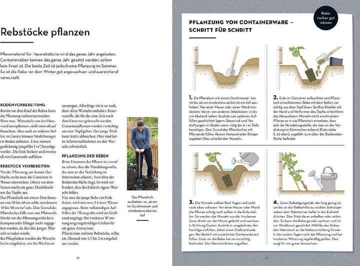 Produktbild Kosmos Wein im Garten anbauen & ernten (Deutsch, Angelika Schartl, Claudia Schick, 2024)