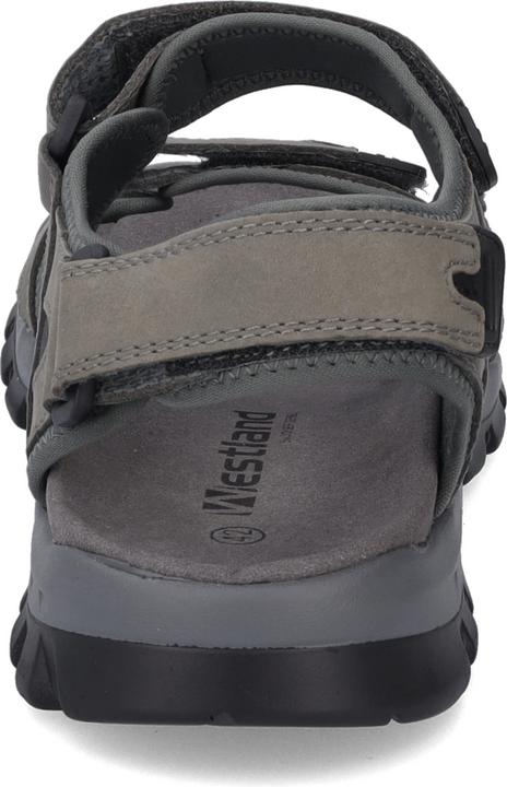 Image du produit Westland 17501-TE508 (41)