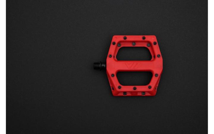 Actual product image DMR V11