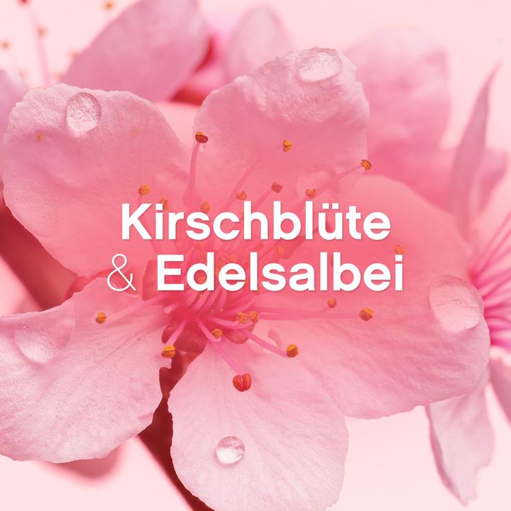 Actual product image Lenor Cherry blossom & noble sage (56 Washing cycles, Liquid detergent)