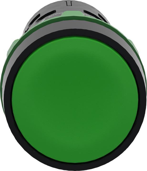 Image du produit Schneider Electric Push button Spring Rtn green NO+NC