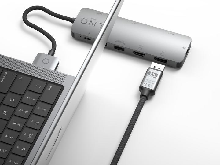 Actual product image LINQ Connects DisplayPort male -> DisplayPort male LQ48025 grey (2 m, DisplayPort)