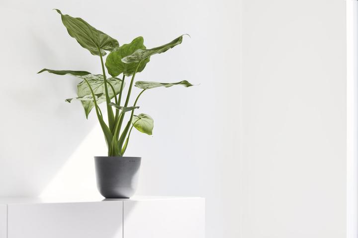 Image du produit Ecopots Oslo Mini (16 cm)