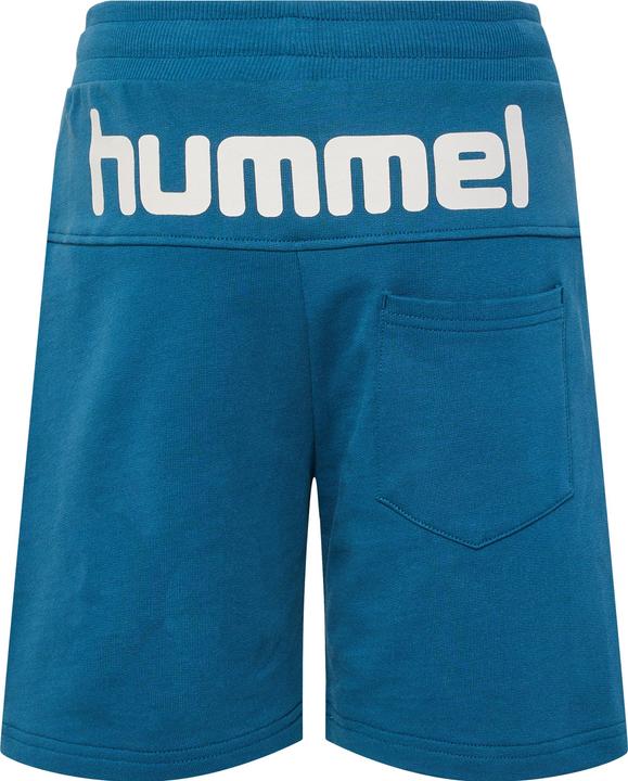 Actual product image hummel Hmlflow Shorts (134)