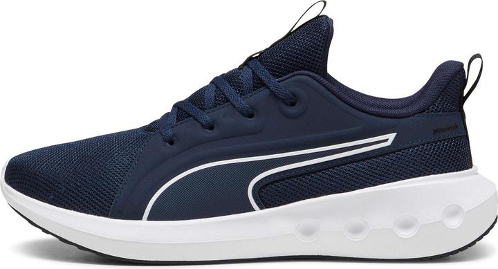 Image du produit Puma Softride Carson (38)