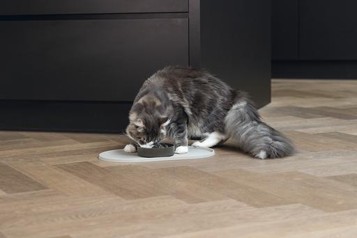 Productafbeelding Designed by Lotte Anti-knaagkom kat Pom (0.41 l)