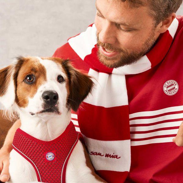 Image du produit Hunter Harnais pour chien Hilo FC Bayern München XXS-XS - (69251) (XXS, Chien, Sport canin)