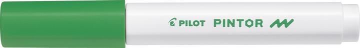 Immagine prodotto Pilot Pintor Fine (Verde, Bianco, 1 mm, 1 x)