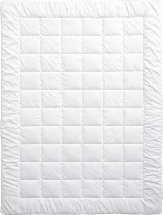 Image du produit Billerbeck Edition Seta (600 g, 160 x 210 cm)
