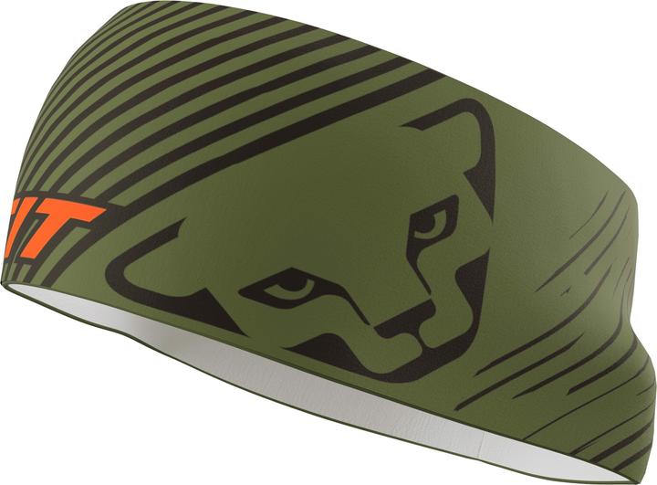 Actual product image Dynafit graphic performance