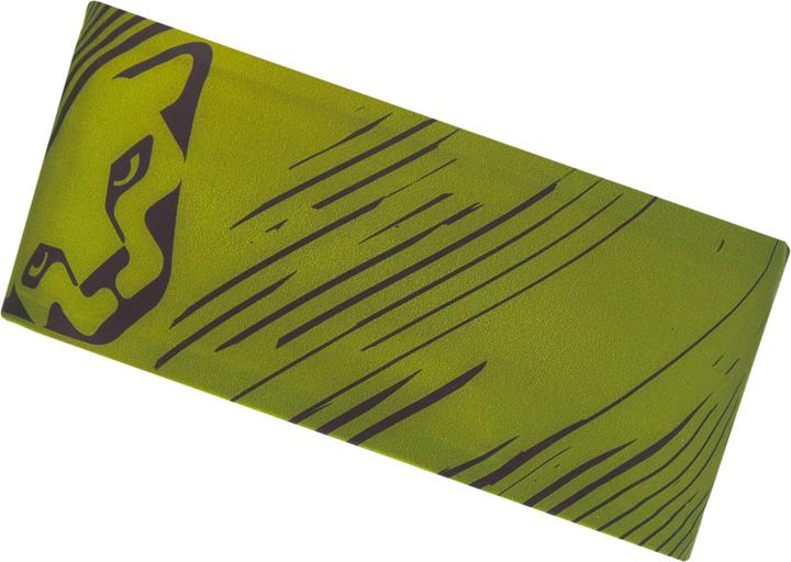 Actual product image Dynafit graphic performance