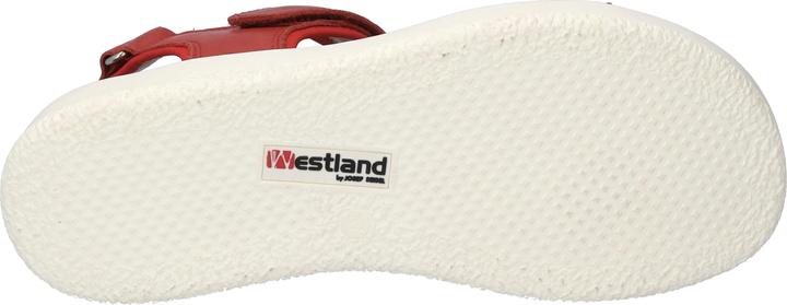 Actual product image Westland 25401-410 (38)